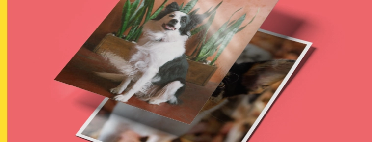 Klassischer Fotoservice